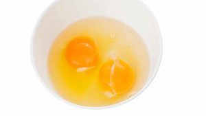 Filamento bianco nelle uova